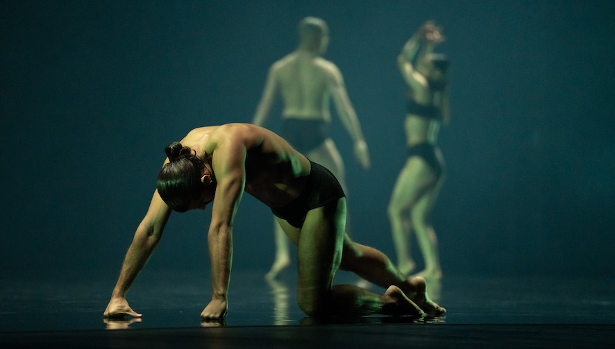 Company Wayne McGregor In Deepstaria Foto Di Ravi Deepres (4)